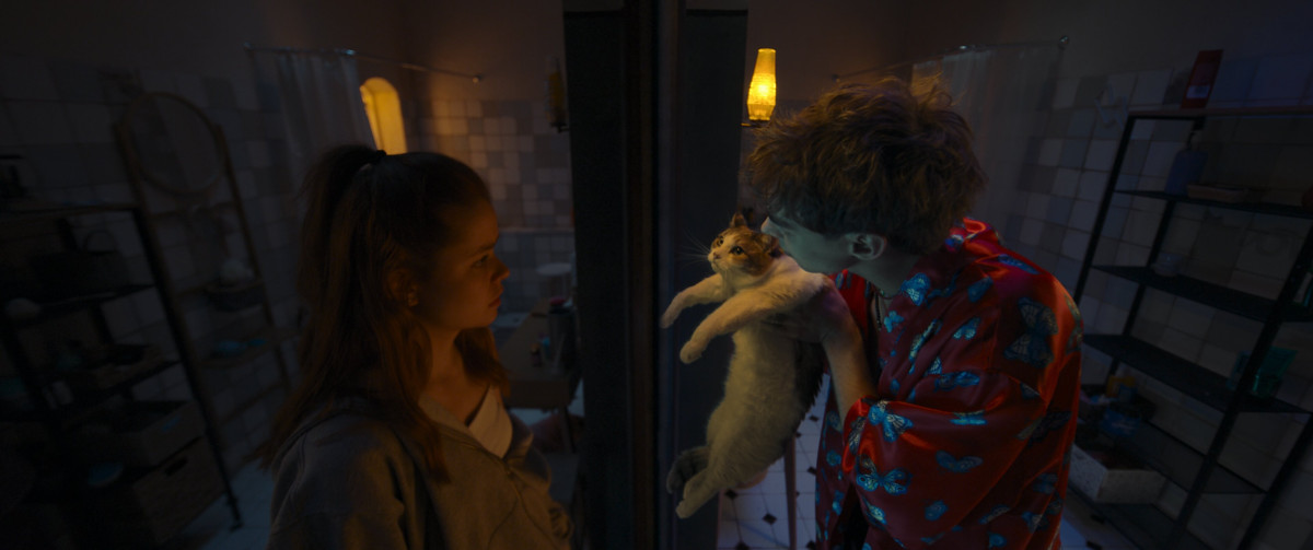 Фотография  для Сводишь с ума