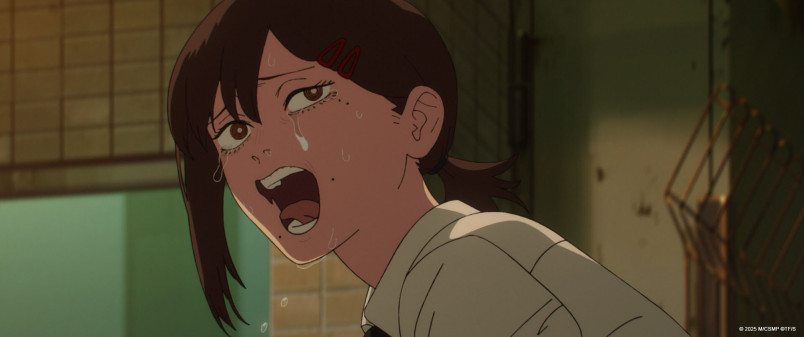 Фотография  для Человек-бензопила. Фильм: История Резе