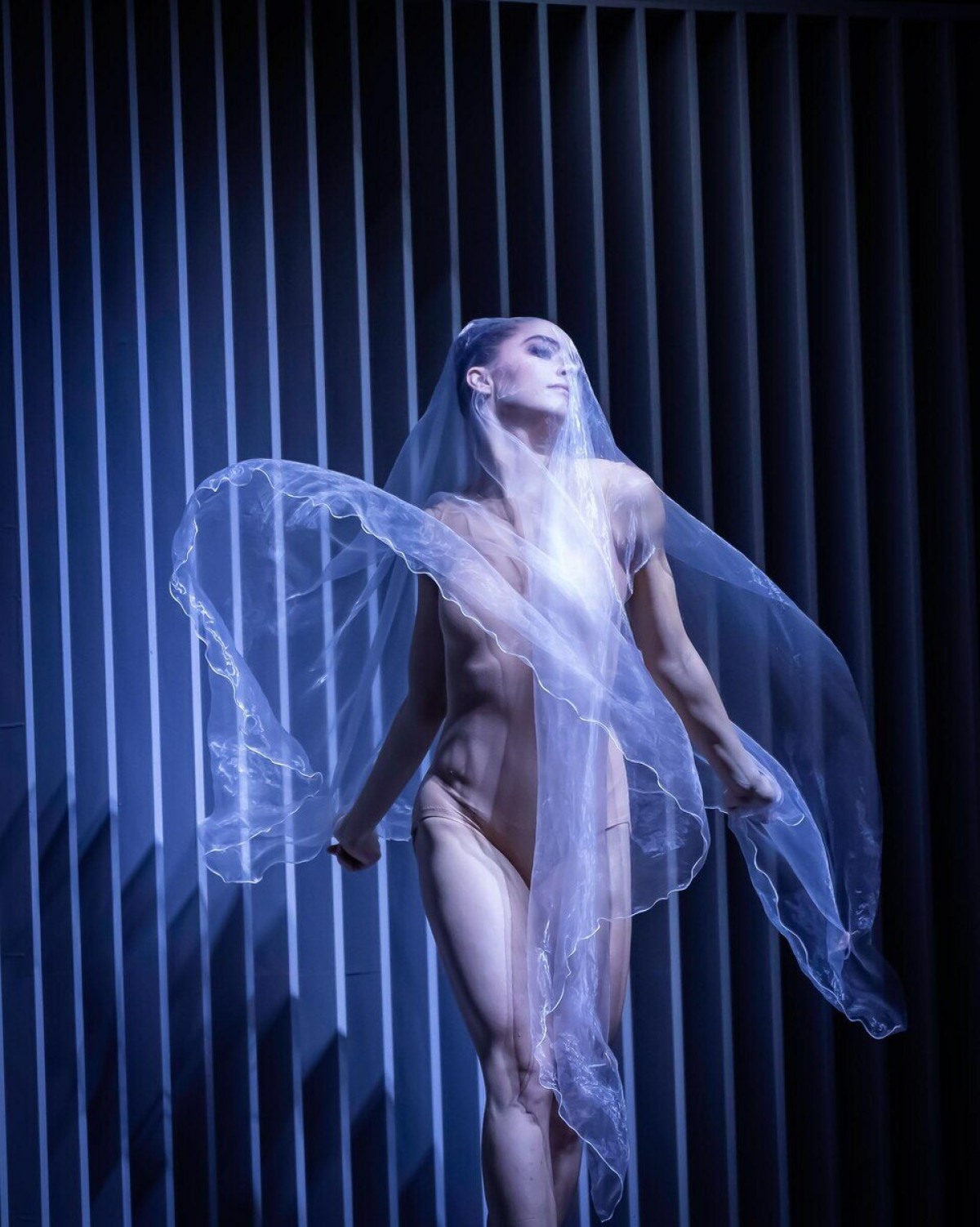 Фотография  для TheatreHD: Йохан Ингер: Лебединое озеро