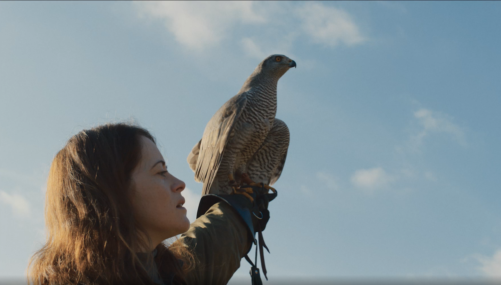 Фотография  для Я — значит Ястреб