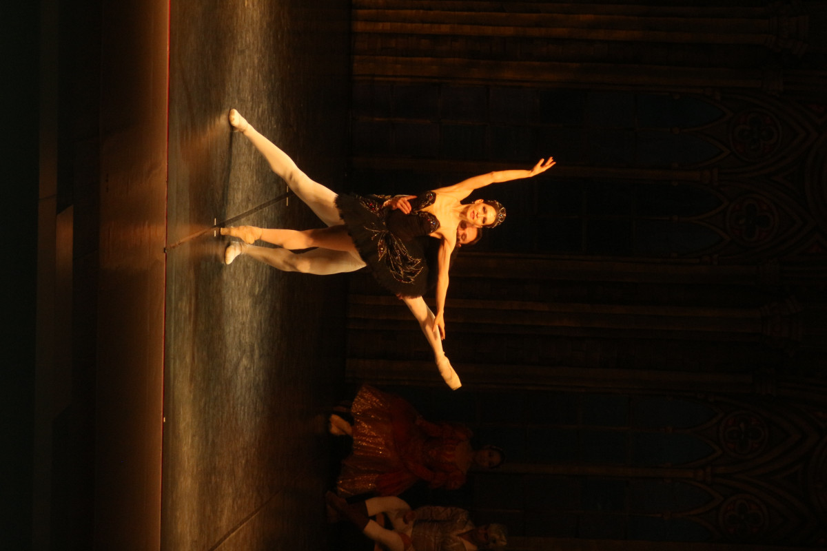 Фотография  для Лебединое озеро