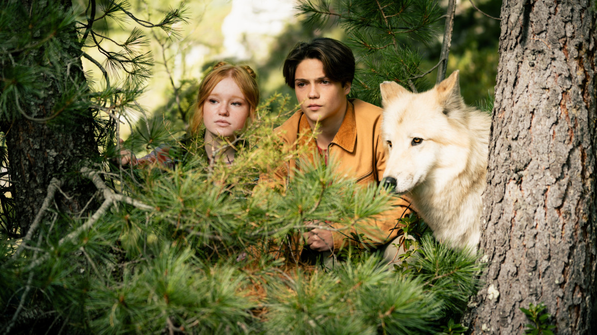 Фотография  для Дети леса 2