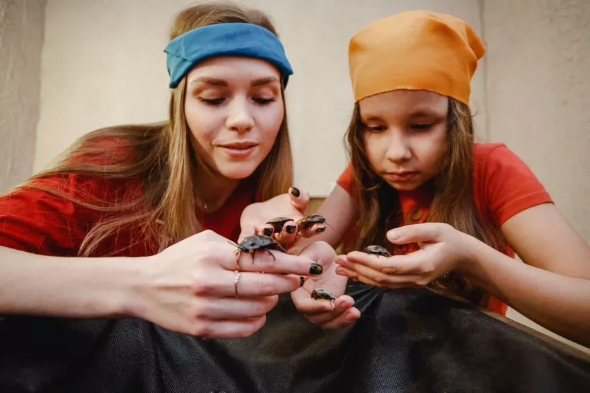 Фотография  для Форт Боярд