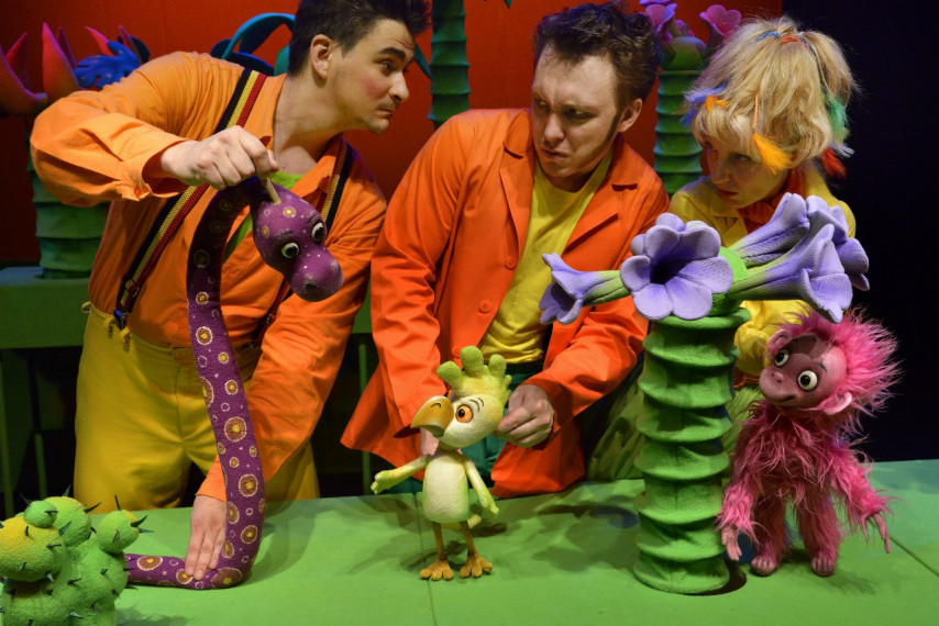 Фотография  для 38 попугаев