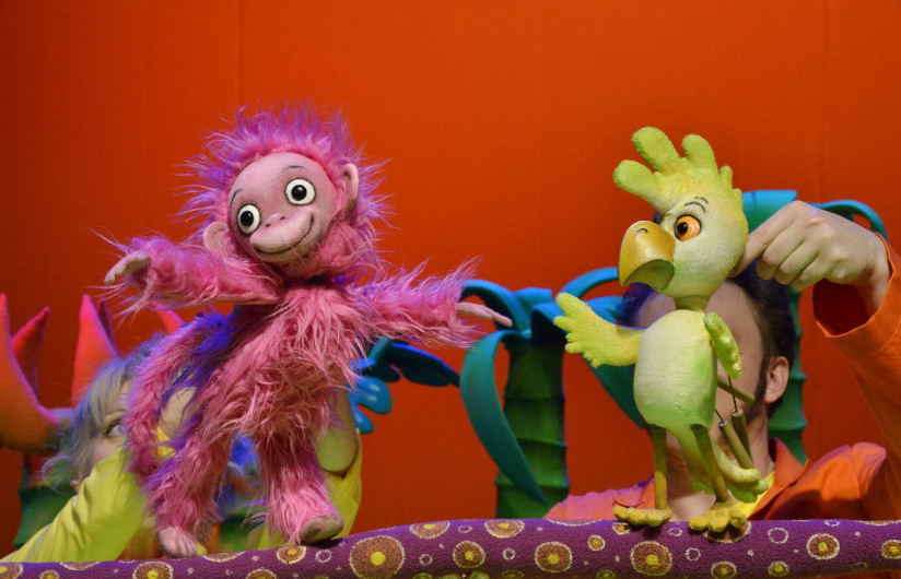 Фотография  для 38 попугаев