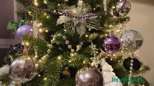 В Саратовской области усиливают контроль за хвойными лесами перед Новым годом