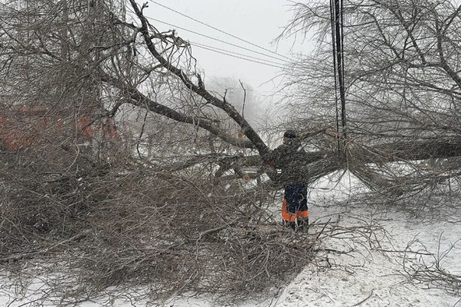 Снежный шторм оставил Гагаринский район Саратова без электричества