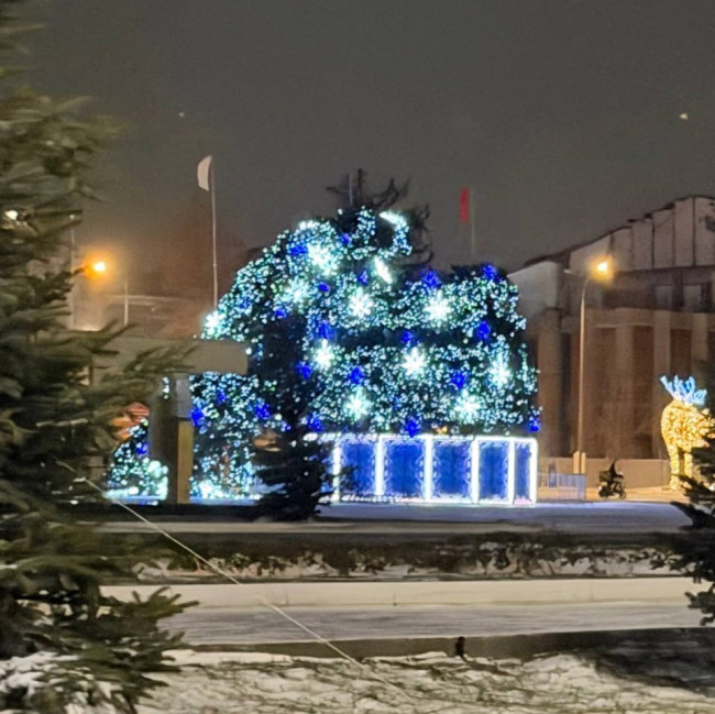 Ураганный ветер повалил новогодние ёлки в Саратове