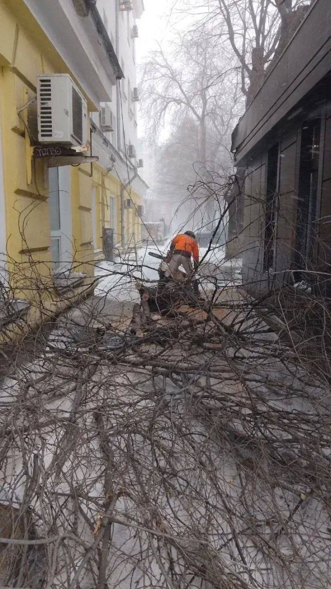 Снежный шторм в Саратове: ущерб социальным объектам и уборка города