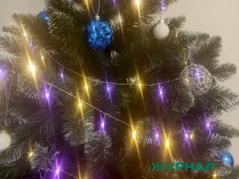 Проблемы с заказом искусственных ёлок в Саратовской области