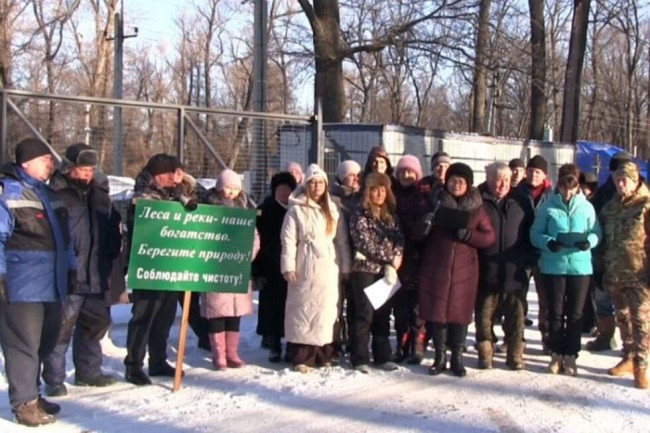 Жители Елшанки обратились к Путину из-за вырубки дубов и ограничения доступа к Волге