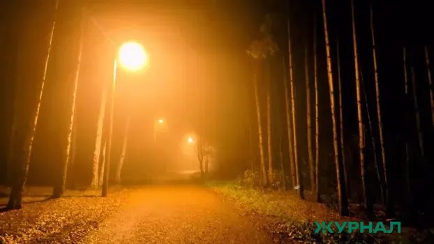 Уличное освещение обновлено в Саратове на трех улицах и в поселках района