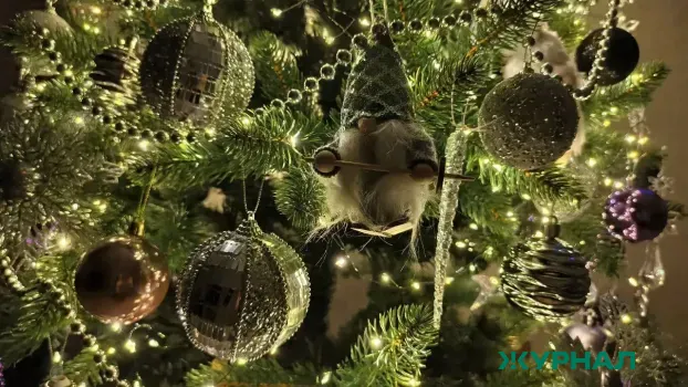 На Театральной площади Саратова установят новую елку после шторма