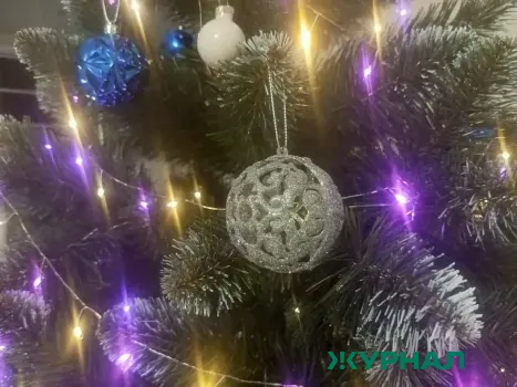 На вокзалах ПривЖД установили новогодние фотозоны и елки для пассажиров