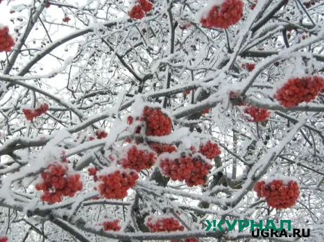 Резкое похолодание ожидается в Саратове во второй половине дня