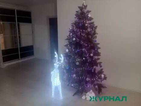 Саратовцы предпочитают встречать Новый год дома, работающим &mdash; 7%