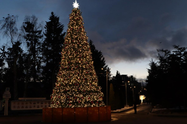 В Саратове зажгли 12-метровую елку в Городском парке