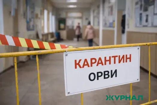 Школы Энгельсского района переходят на карантин из-за ОРВИ