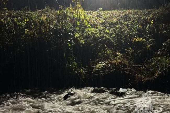 В Сочи спасли заблудившуюся в горах 20-летнюю туристку из Саратова