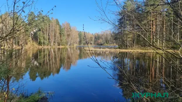 Следственный комитет начал расследование загрязнения реки Хопер в Балашовском районе