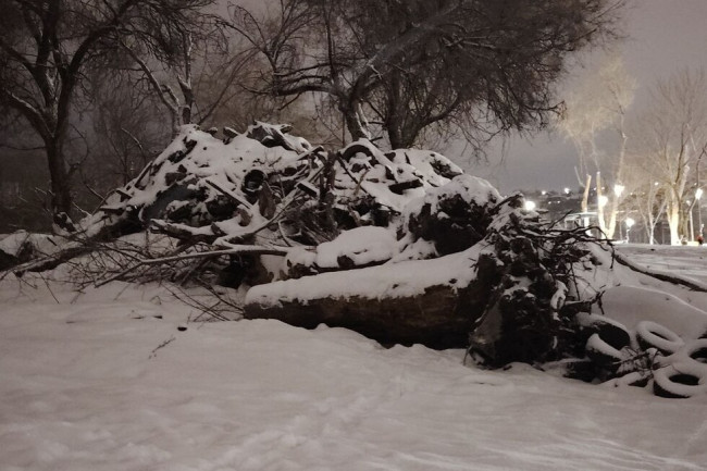 Жители Заводского района Саратова вновь пожаловались на сквер на улице Прессовой