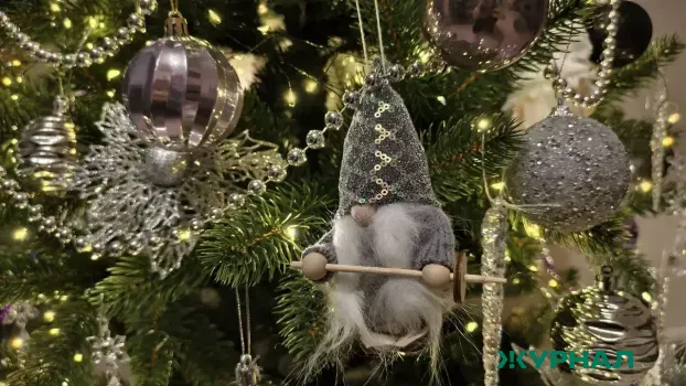 Саратовчанка недовольна Дедом Морозом, продающим подарки у цирка