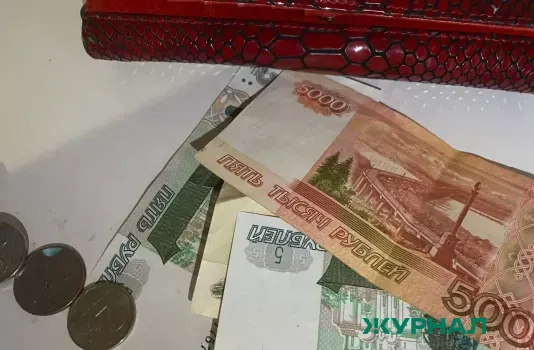 В Саратовской области многодетные семьи получили компенсации за обучение детей