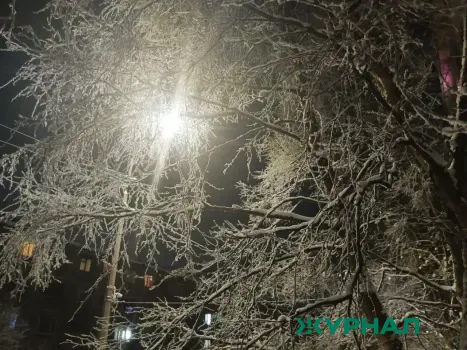 Мороз и туман ожидаются в Саратовской области 31 декабря