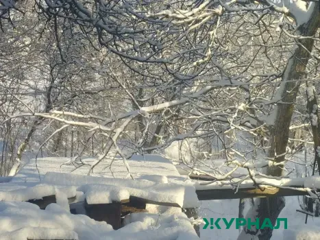 Холодная и туманная погода ожидается в Саратовской области 2 января