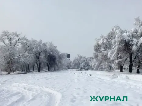 Уборка набережной и улицы Волжской в Саратове продолжается в праздничные дни