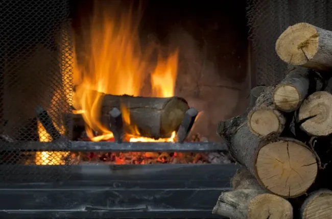 Как выбрать дрова для печи: 3 лучших варианта для тепла и уюта