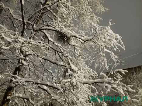 Морозный снежный день ожидается в Саратовской области 6 января