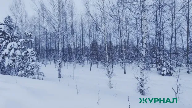 В Энгельсе открыли лыжную трассу для активного зимнего отдыха