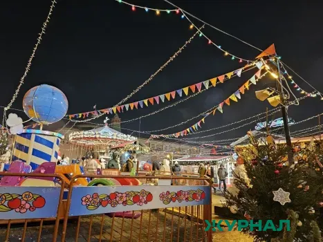 В Петровске создадут резиденцию Деда Мороза в парке города