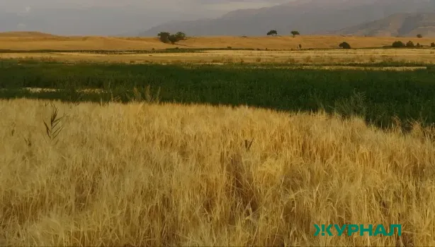 Банкротный завод требует признать право на сельхозземли в Энгельсе