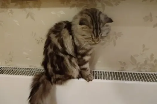 Температура воды в отоплении повышена в Саратове, Энгельсе и Балакове