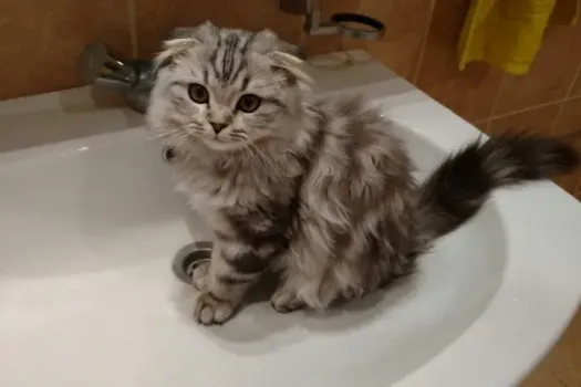 Тысячи жителей Саратова остались без холодной воды из-за аварий