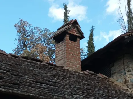 Очистка дымохода осиновыми ветками: простой способ без усилий