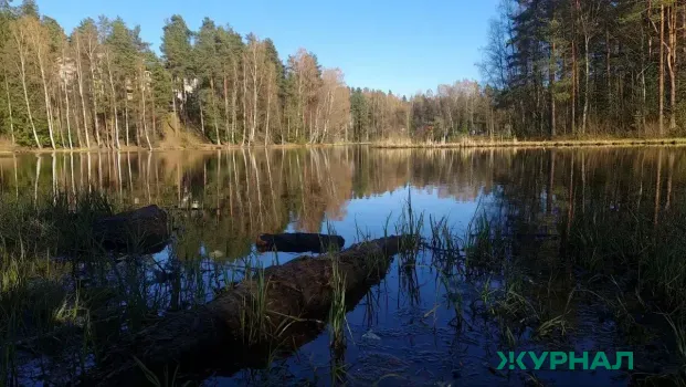 Расследование загрязнения реки Хопер начато по жалобам местных жителей