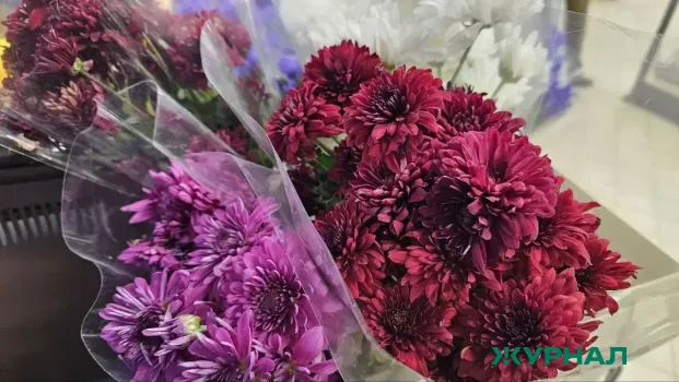 Комитет администрации Саратова объявил аукцион на закупку цветов