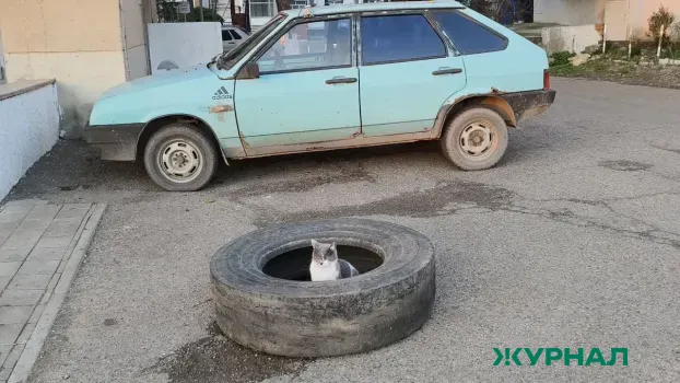 Изменения в порядке выявления брошенных автомобилей приняты в Саратове