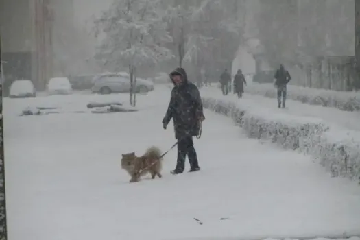 Холодная погода с небольшим снегом ожидается в Саратовской области 23 января