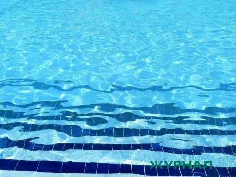 Кубок России по прыжкам в воду пройдет в Саратове с 31 января по 5 февраля