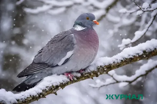 Саратовцев предупреждают о сильном похолодании и необходимости проверки отопления