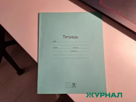 Завтра в Саратове отменяют занятия для пятых и шестых классов из-за холода