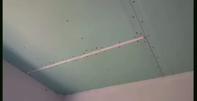 Гипсоволокнистые плиты: прочная и огнестойкая альтернатива гипсокартону для вашего интерьера