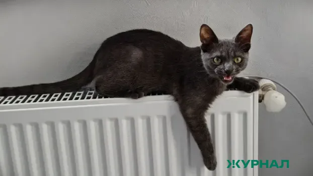 Проблемы с отоплением в доме на улице 30 лет Победы в Балаково: что известно