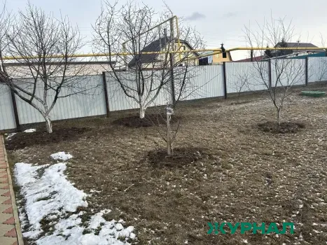 В Энгельсском районе увеличилось количество земельных участков для многодетных семей