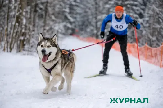 Морозы до -31 градуса ожидаются в Саратовской области на неделе