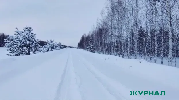 Сильный снег и морозы до -25°C ожидаются в Саратовской области 3 февраля